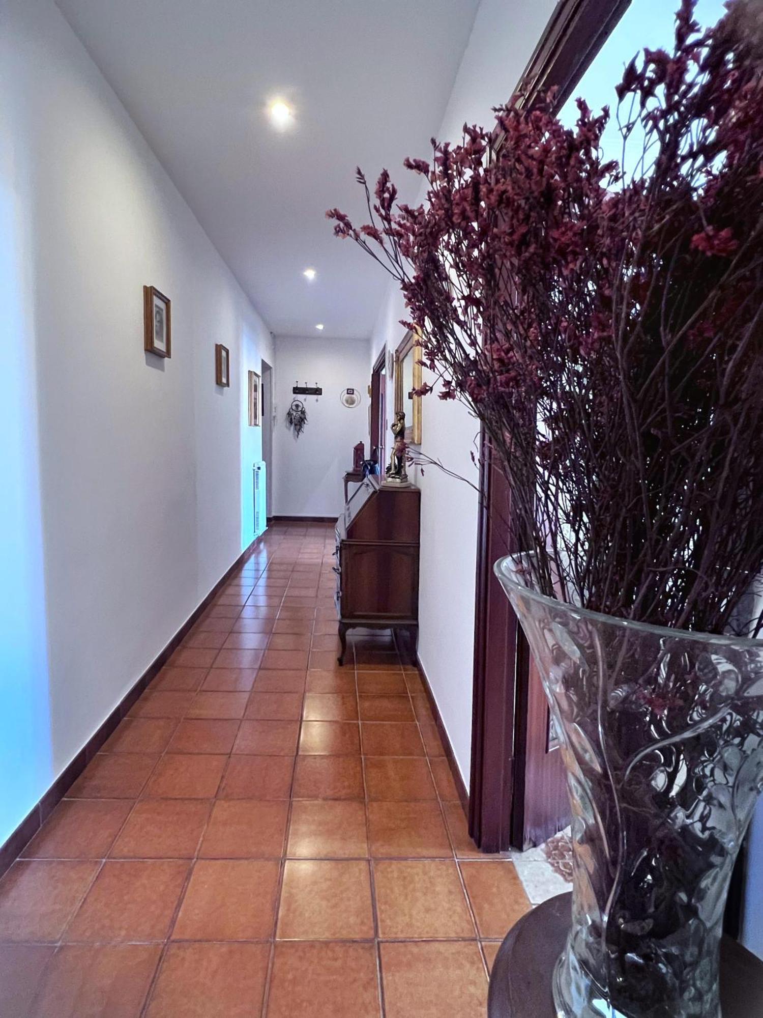 Sonia Trastevere Apartamento *